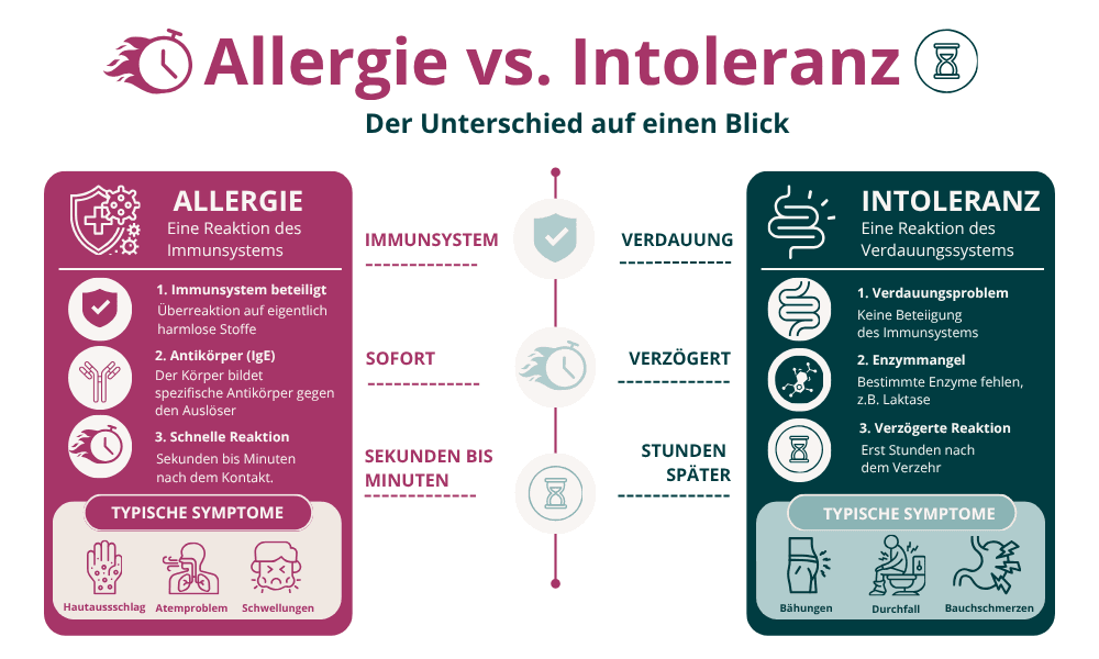 Infografik Allergie vs. Intoleranz