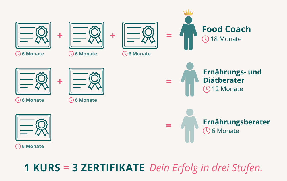FEG_FoodCoach_Infografik