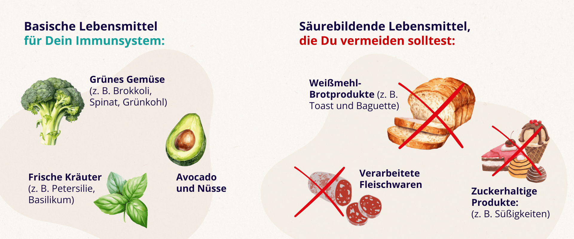 Abbildung von basischen Lebensmitteln, die gut und schlecht für Dein Immunsystem sind.